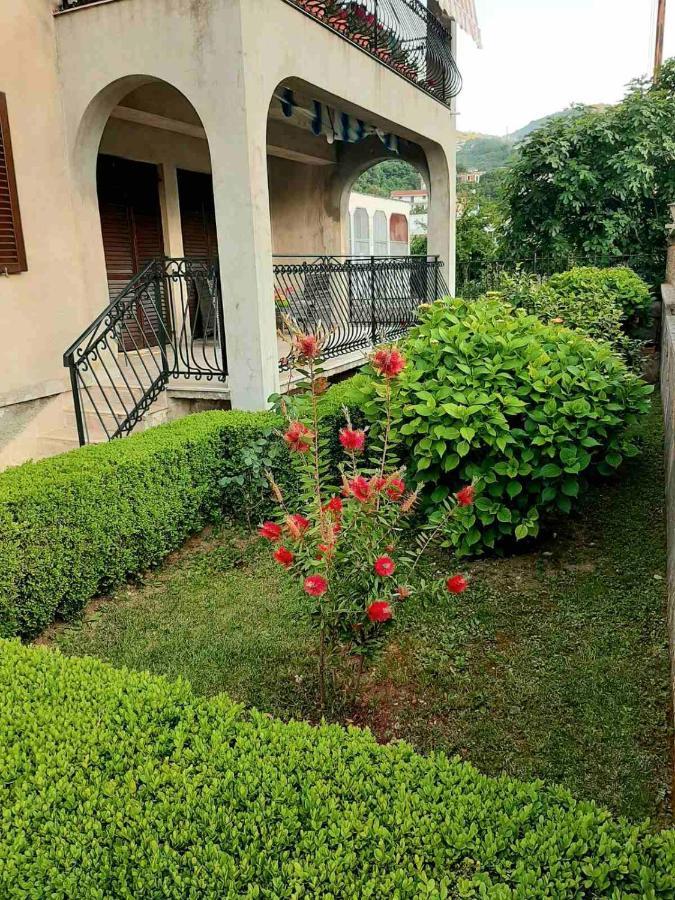 Andrej Apartments Котор Екстериор снимка